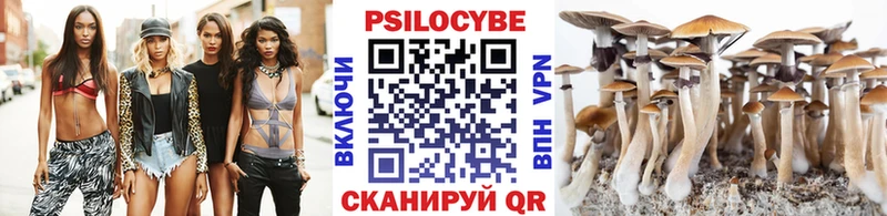 OMG ТОР  Сосновка  Галлюциногенные грибы Psilocybine cubensis 